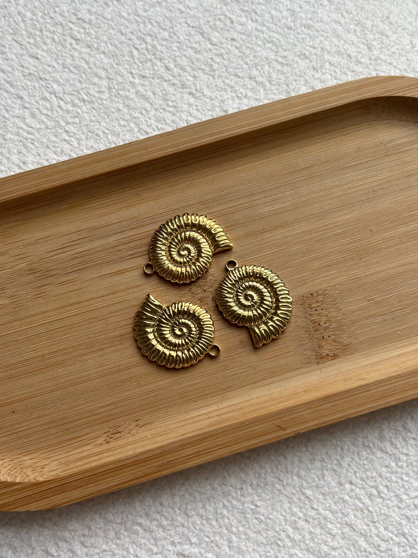 Coquille 3