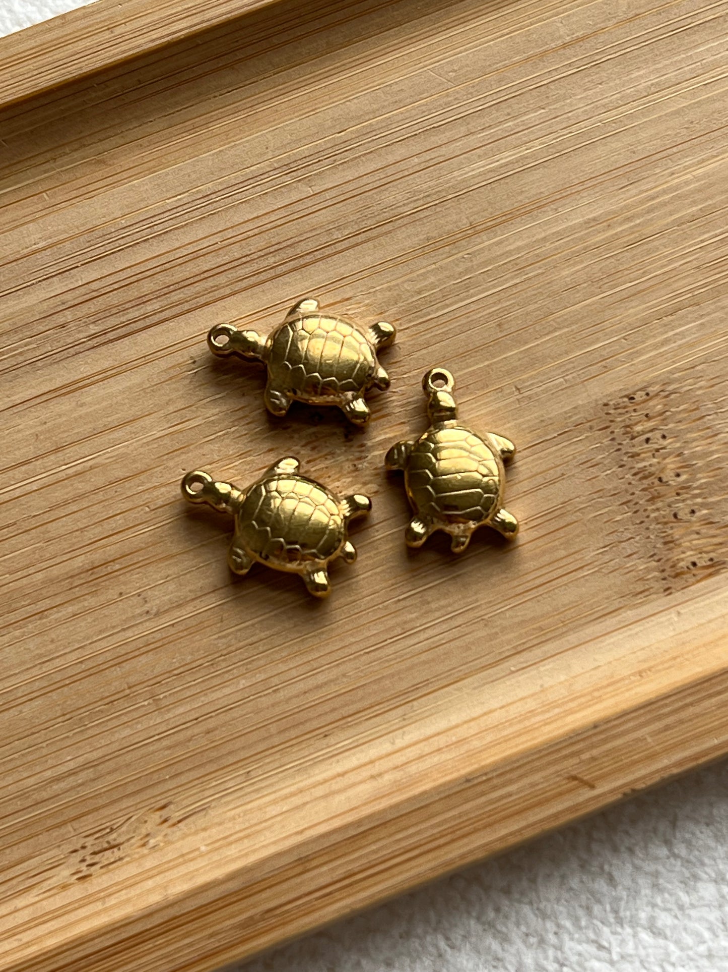 Tortue 3 🐢✨