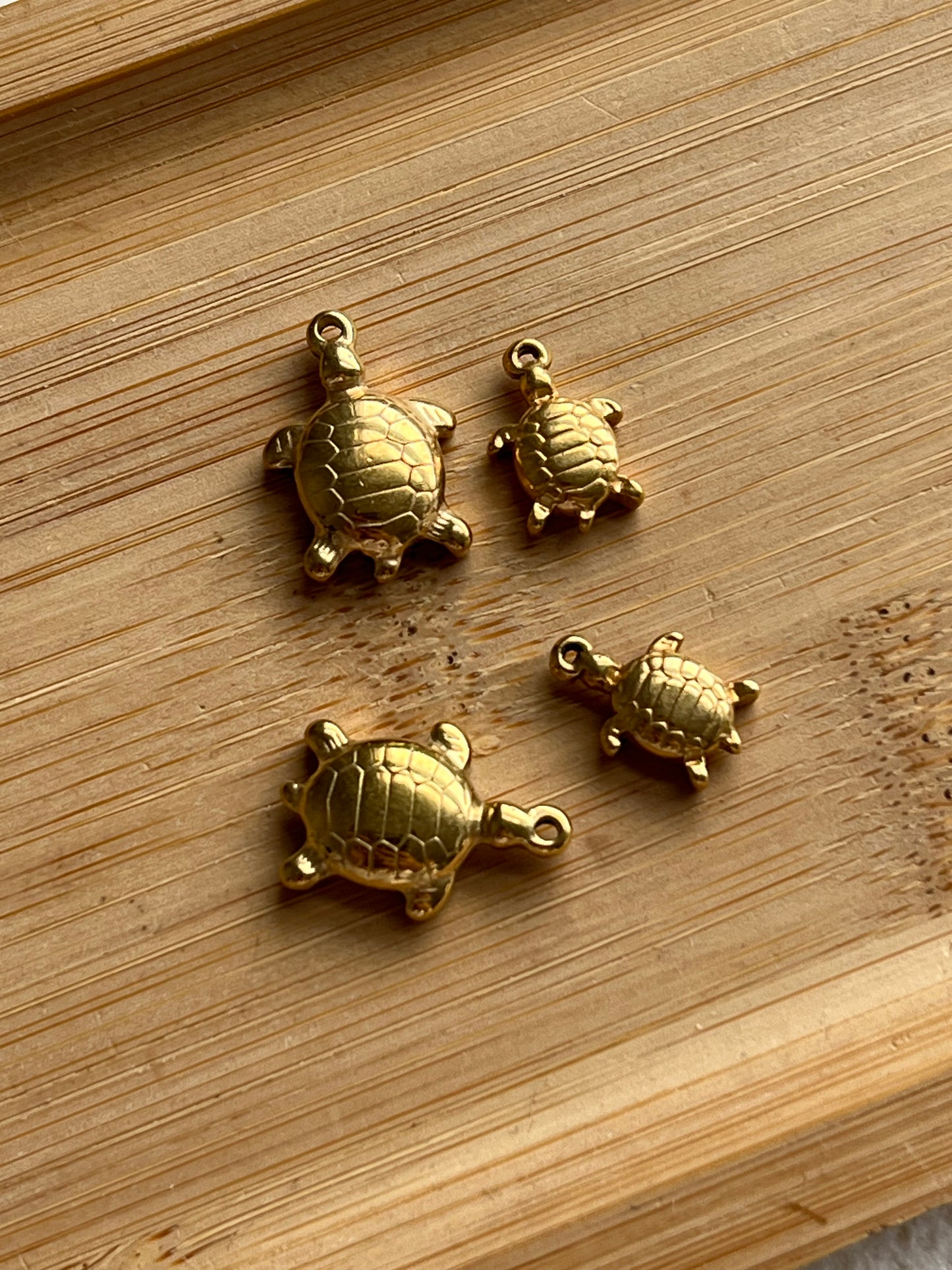Tortue 3 🐢✨