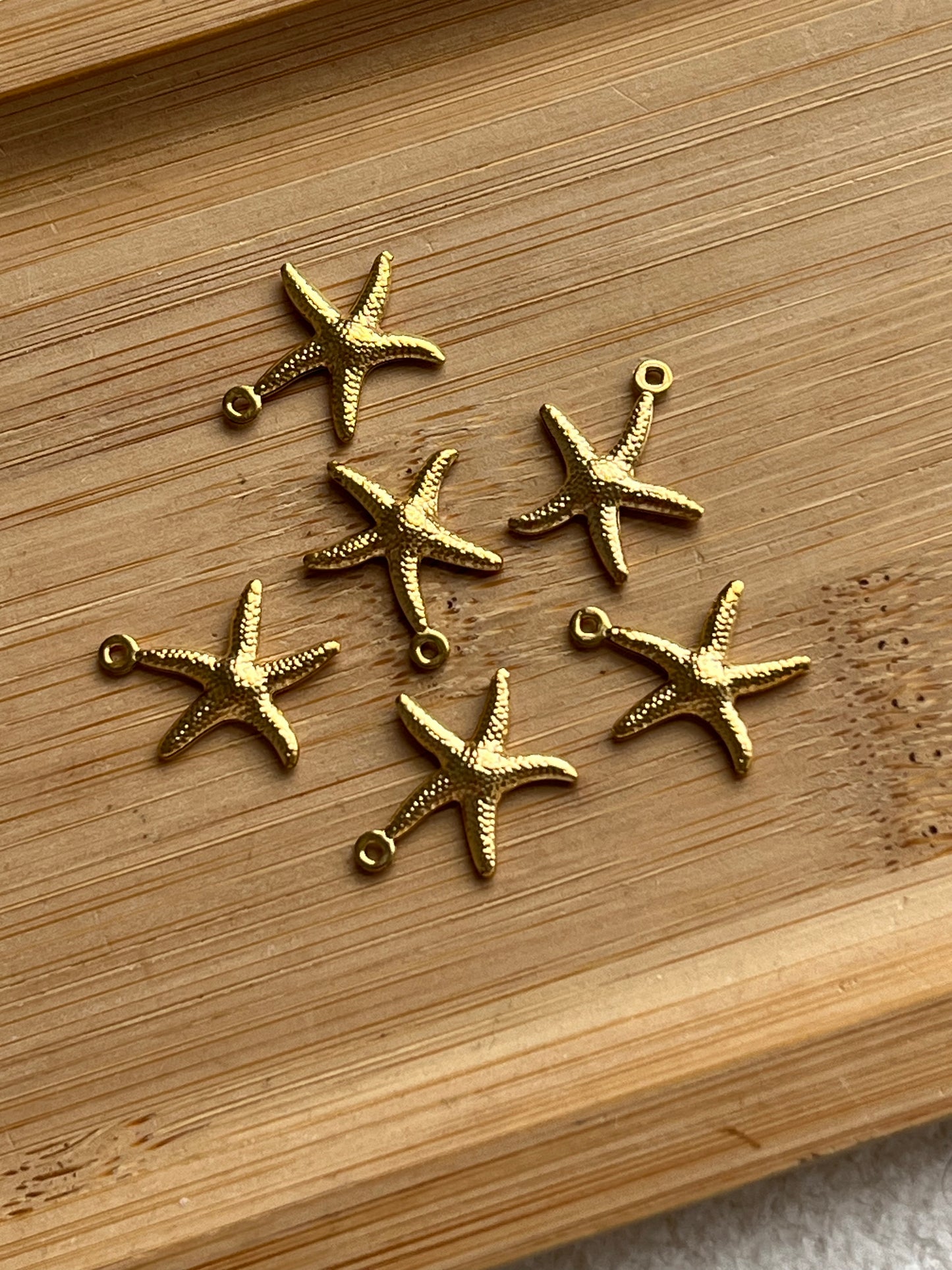 Petite étoile de mer 🪸