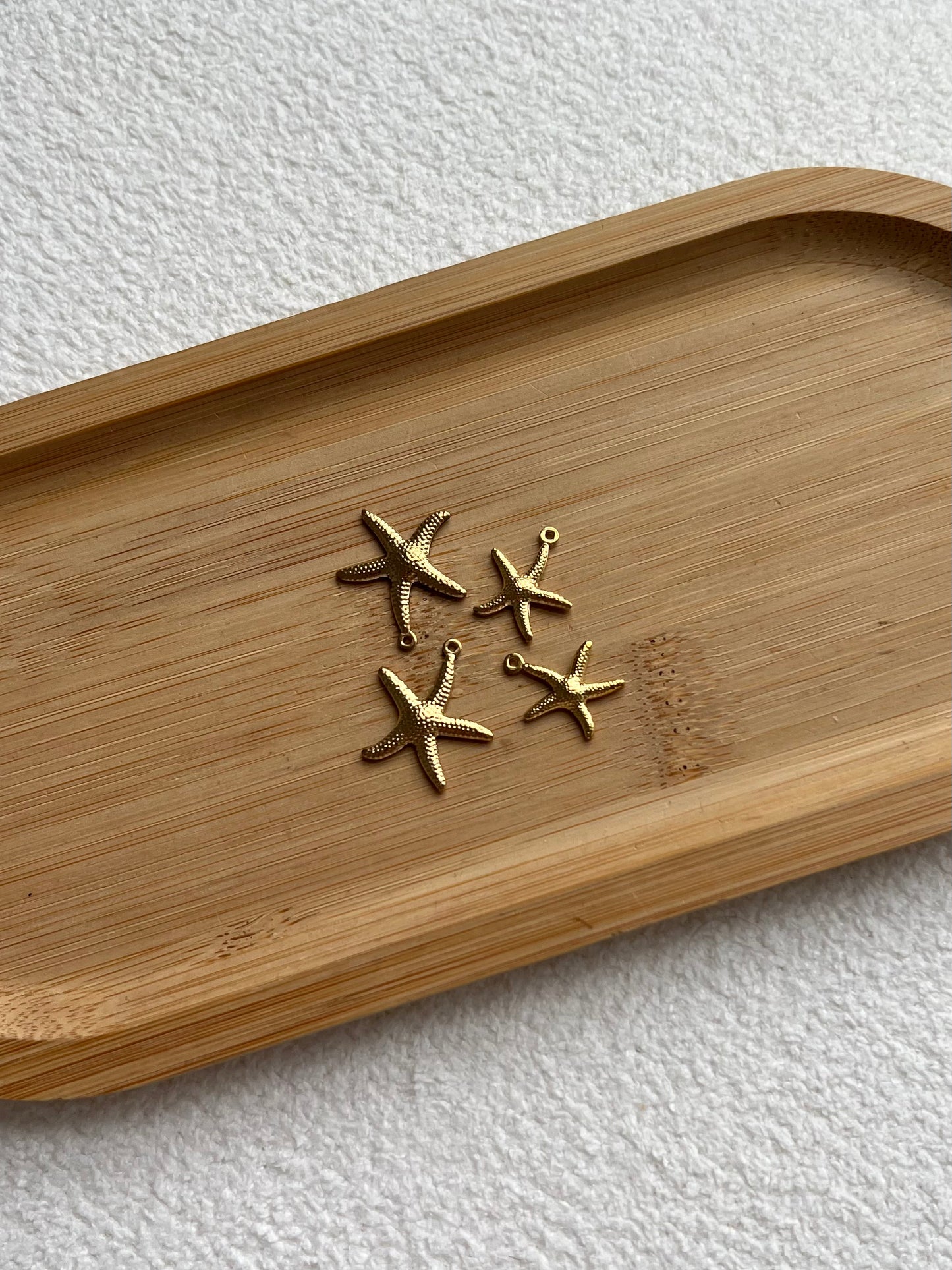 Petite étoile de mer 🪸