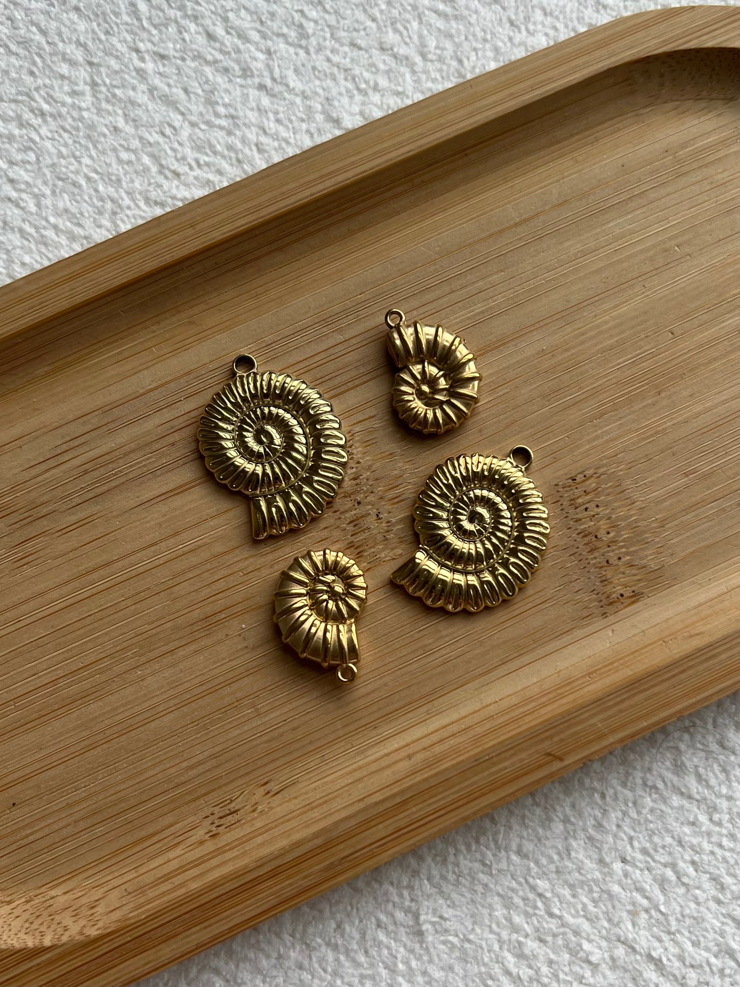 Coquille 3