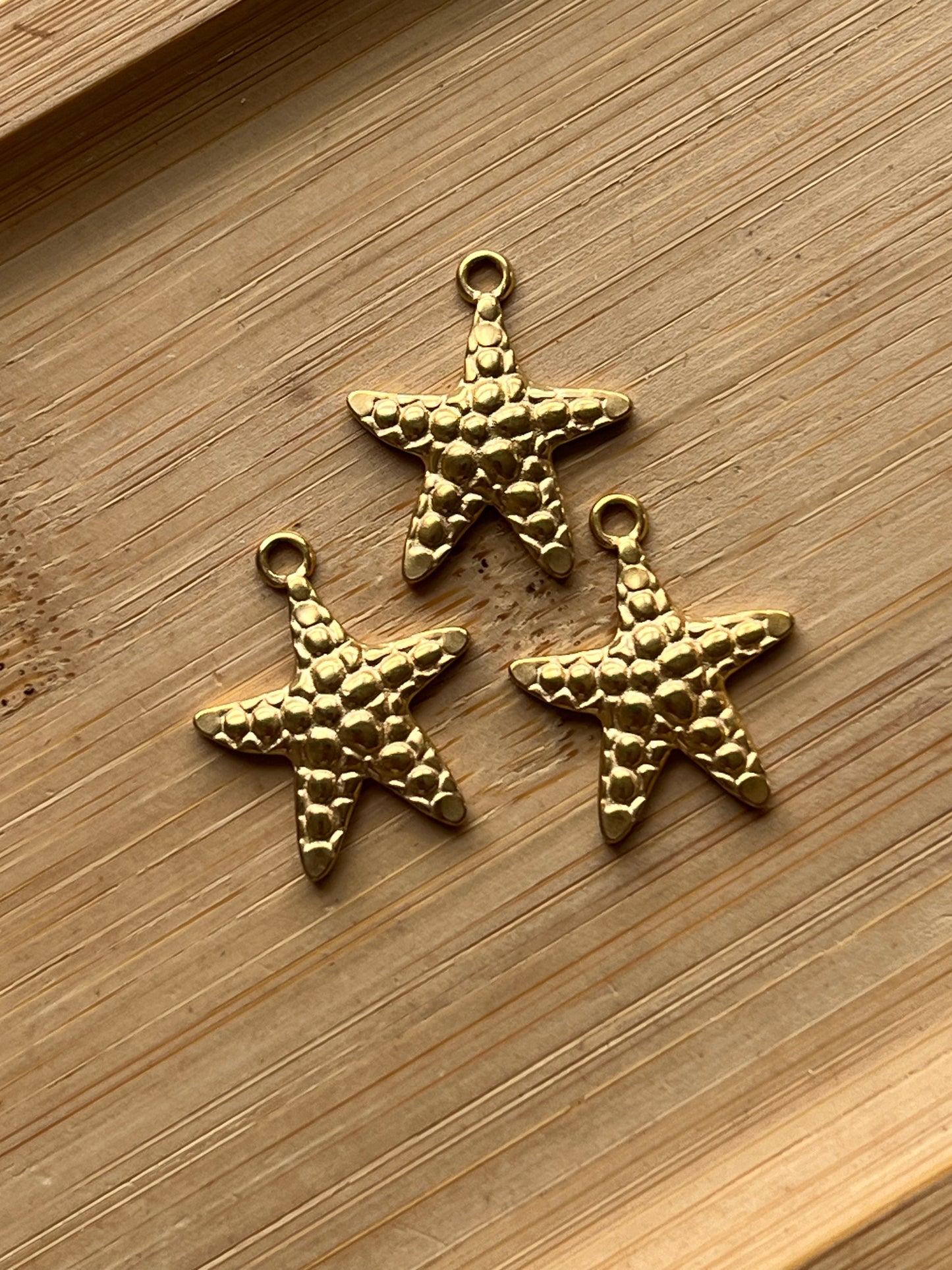 Étoile de mer 3 🌟🪸