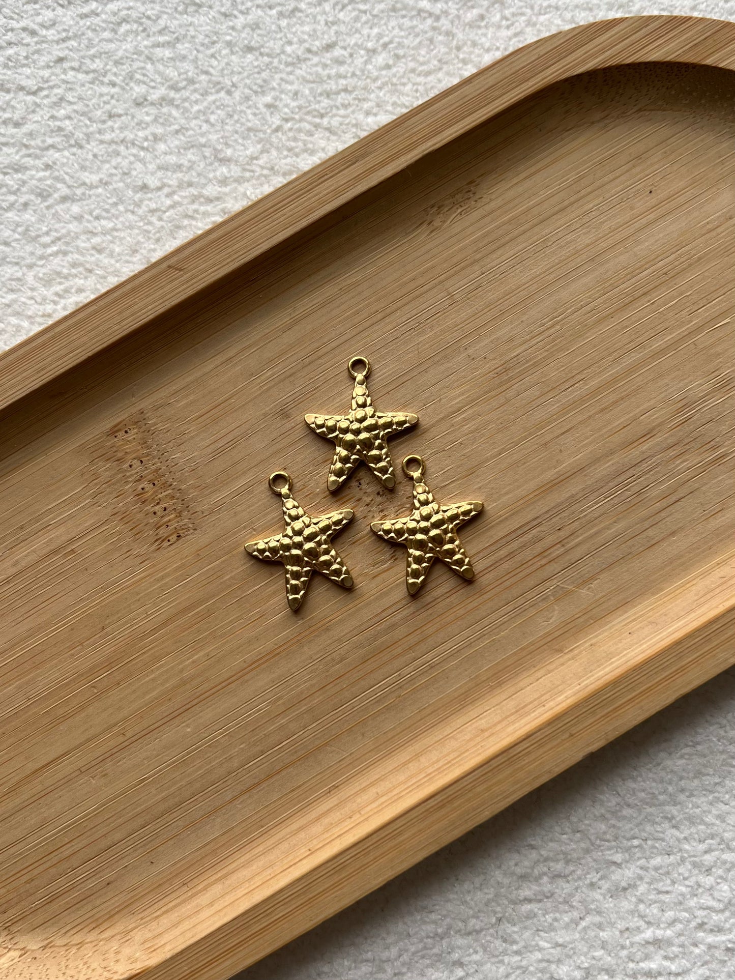 Étoile de mer 3 🌟🪸