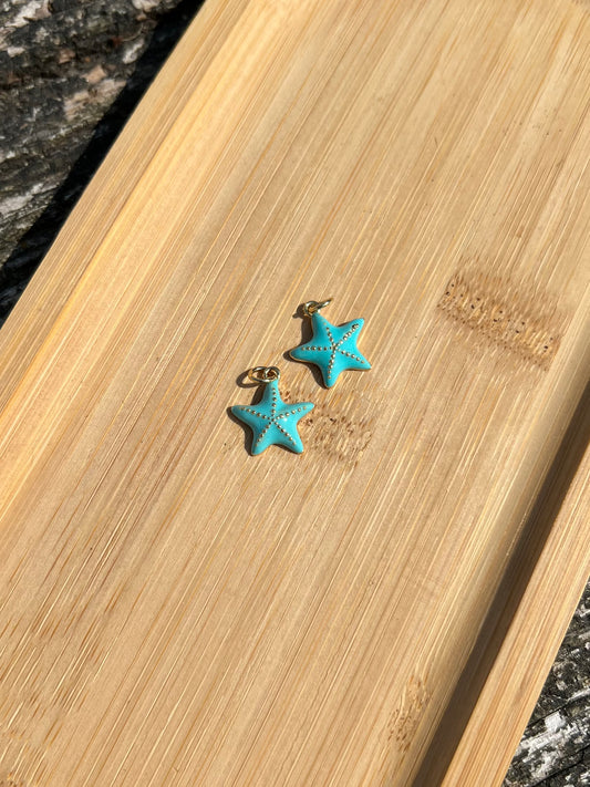 Étoile de mer turquoise 🐋